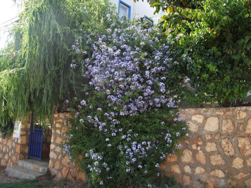 Miramar Pansiyon Kaş Luaran gambar